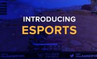 One can catch esports content (Image via Loco.gg)
